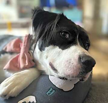 Photo of Yeti