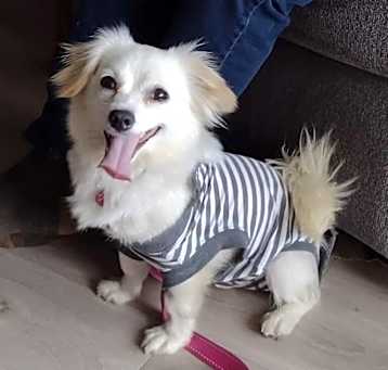 Photo of Dottie