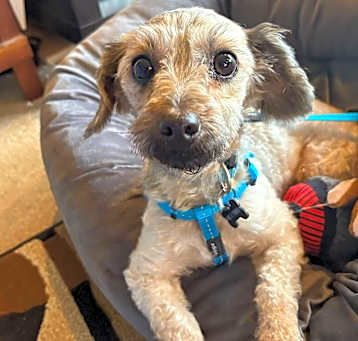 Photo of Jinx