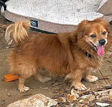 Photo of Yam