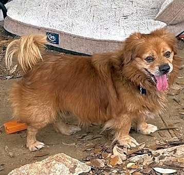 Photo of Yam