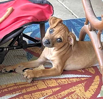 Photo of Zarina