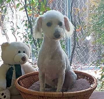 Photo of Max