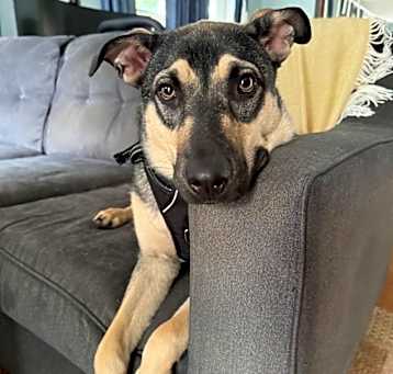 Photo of Lulu