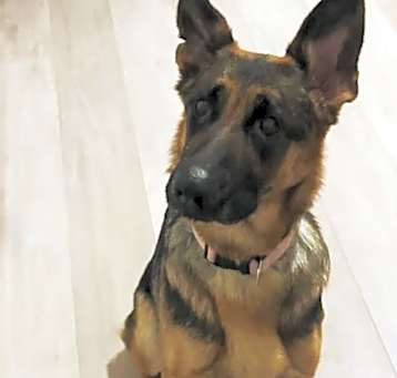 Photo of Saddie