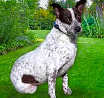 Photo of Chloe