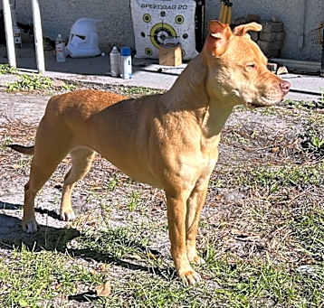 Photo of Sammie