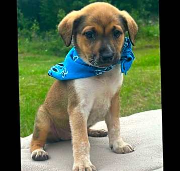 Photo of Wilma
