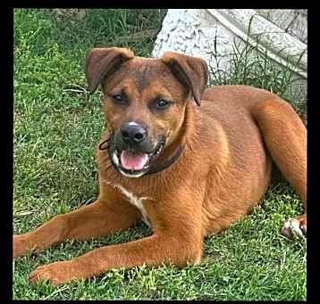 Photo of Ranger