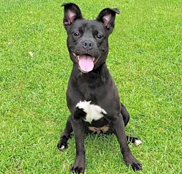 Photo of Chiquita