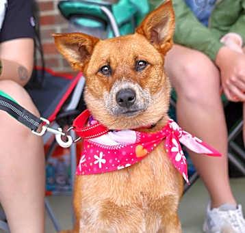 Photo of Chili