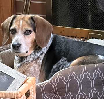 Photo of Maisey