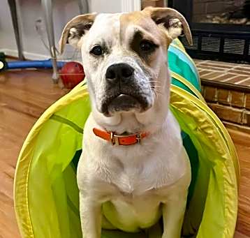 Photo of Tank