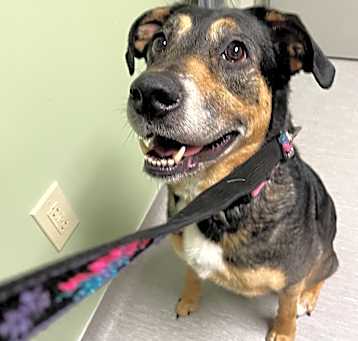 Photo of Trudy