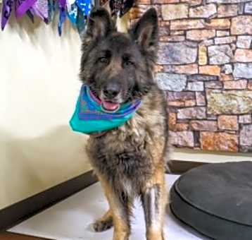 Photo of Roxy