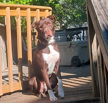 Photo of Ransom