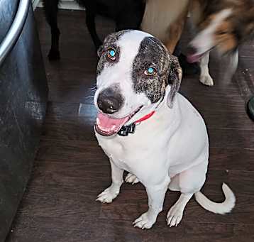 Photo of Darcie