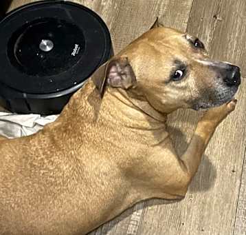 Photo of Hercules