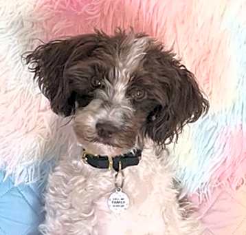 Photo of Lexi