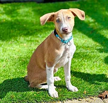 Photo of Skyler