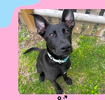 Photo of Marcy