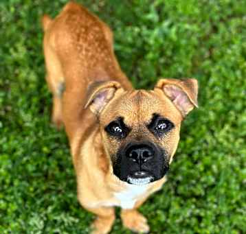 Photo of Maximus