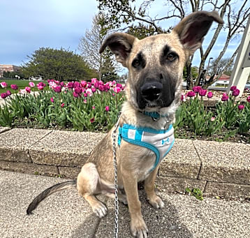 Photo of Cash