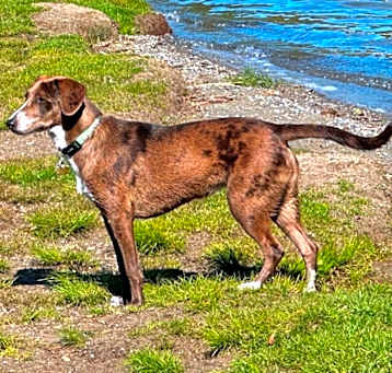 Photo of Guapa