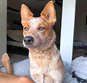 Photo of Rosè