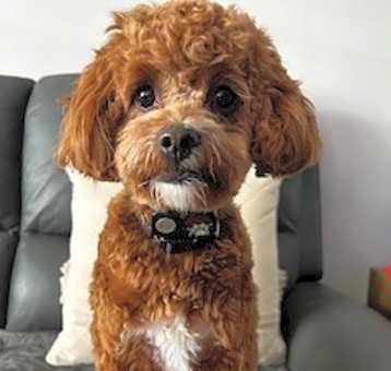 Photo of Lexi