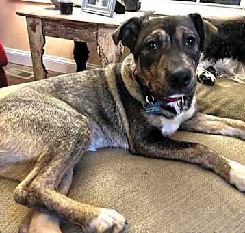 Photo of Maggie