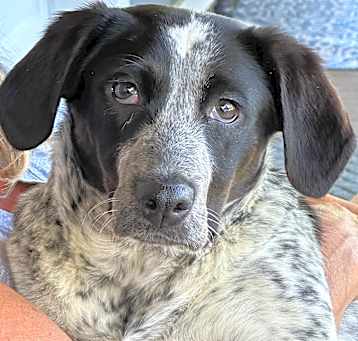 Photo of Cash