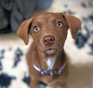 Photo of Penelope (fka Hannah)