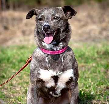 Photo of Thea
