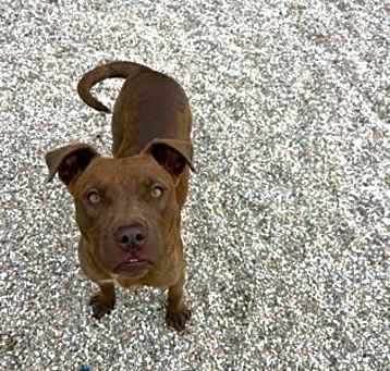 Photo of Zola
