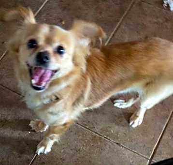 Photo of Jerry