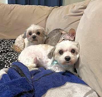 Photo of Nellie
