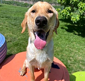 Photo of Borris