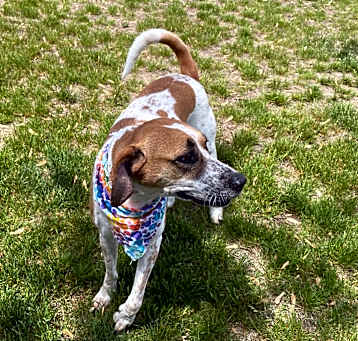 Photo of Rosie