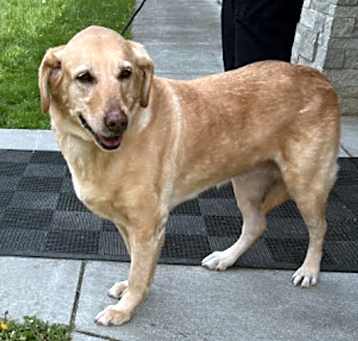 Photo of Maggie