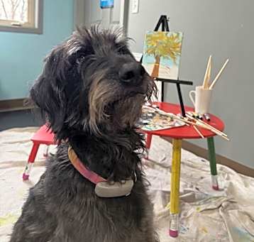 Photo of Monet