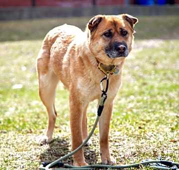 Photo of Bessie