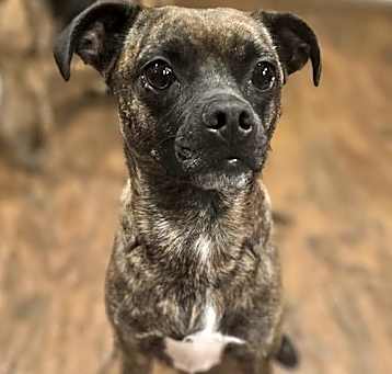 Photo of Hazel