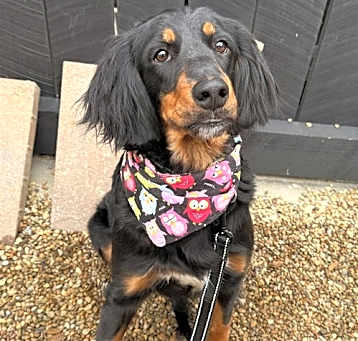 Photo of Mia