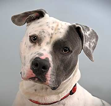 Photo of CUTHULU