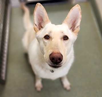 Photo of Hope