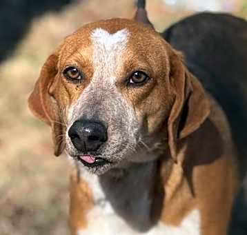 Photo of Jolene