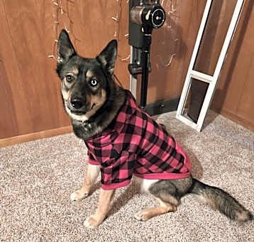 Photo of Leia
