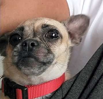 Photo of Nina