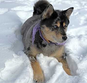 Photo of Cami